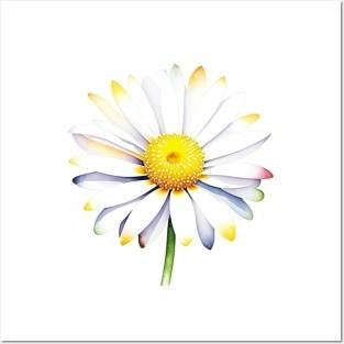 January 1 Daisy Day C - Watercolors & Pen Posters and Art